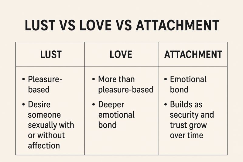 love lust attachment box 2 A beige chart with black borders, columns, and text explaining the psychology of love and attraction, comparing lust (pleasure-based desire), love (deeper emotional bond), and attachment (security and trust over time).